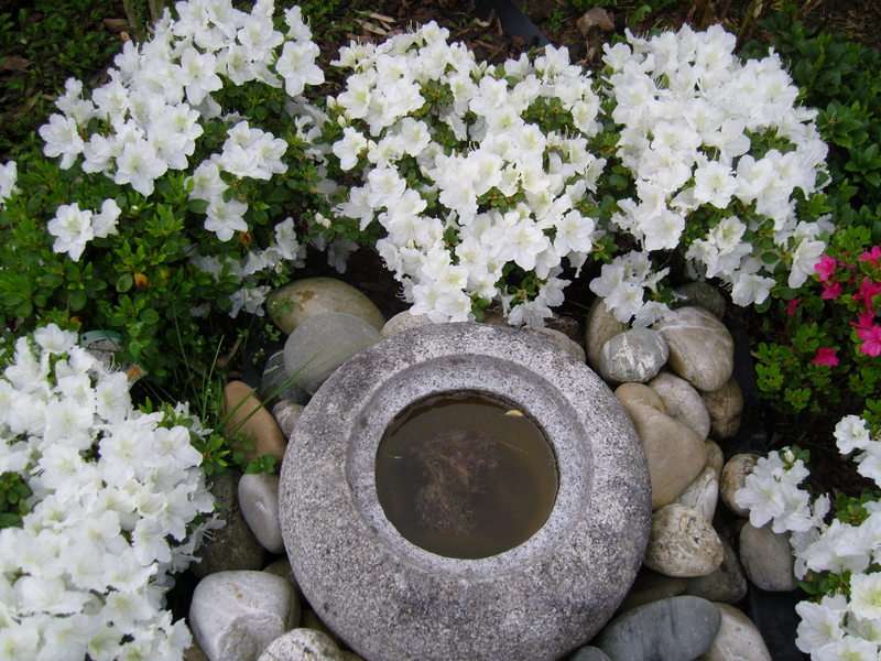 snc17476.jpg