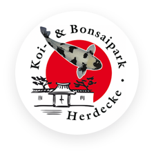www.koi-herdecke.de