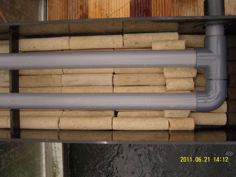snc13185.jpg