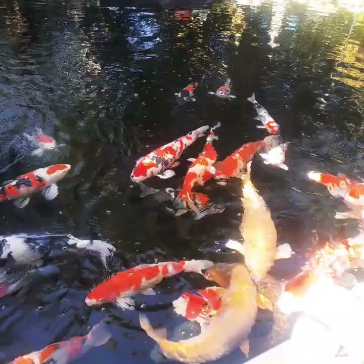 youtube.com