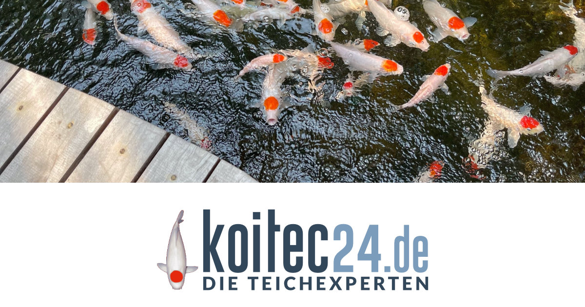 www.koitec24.de