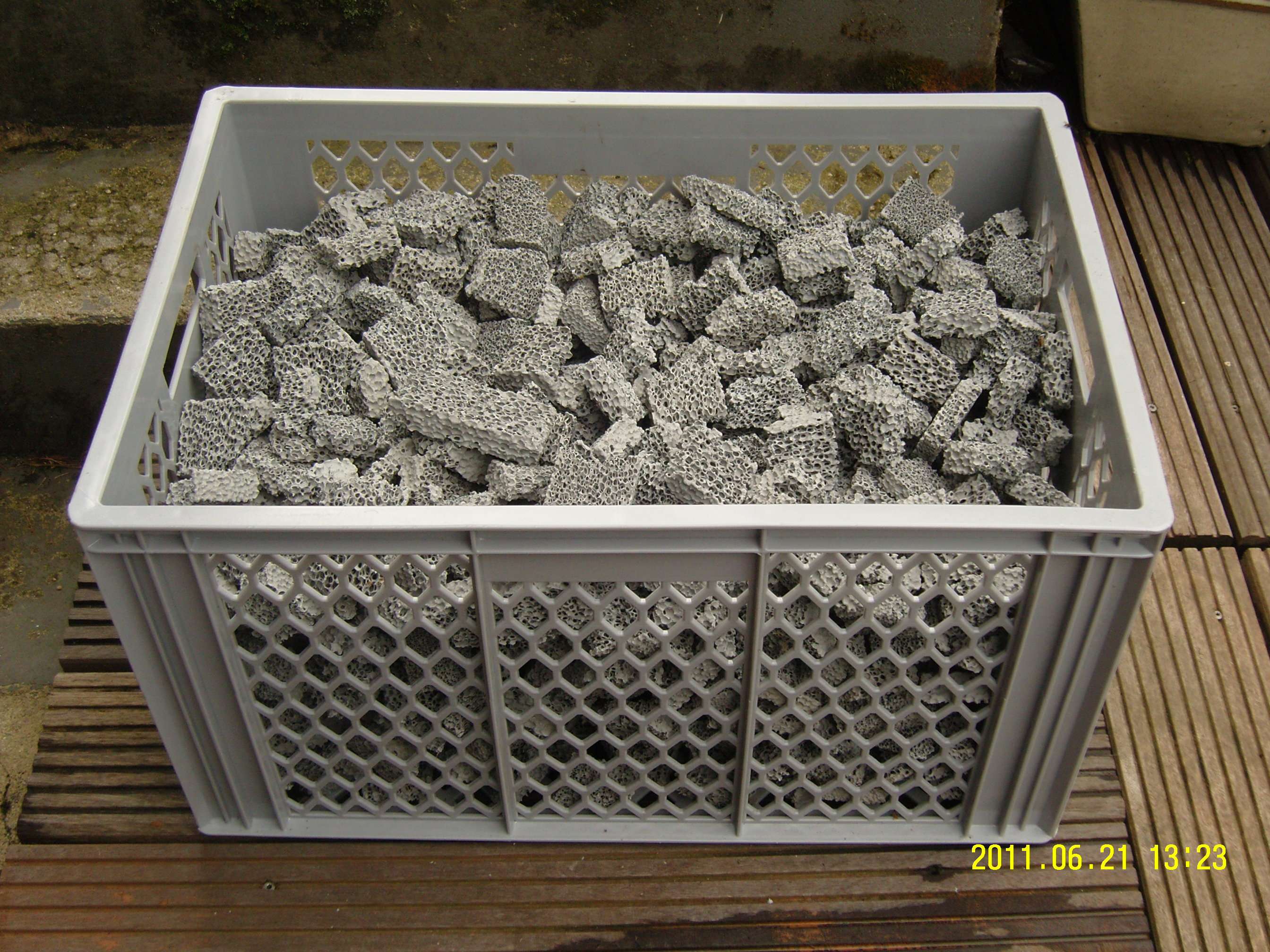 snc13172.jpg