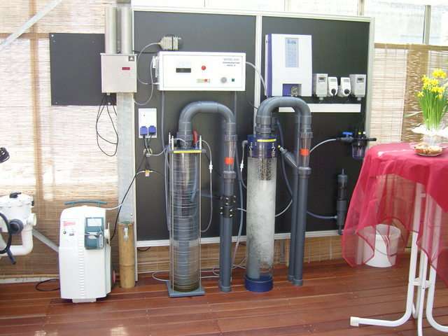 snc10326pf7.jpg