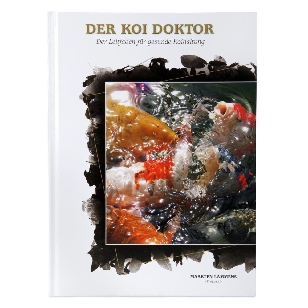 koi-company.de