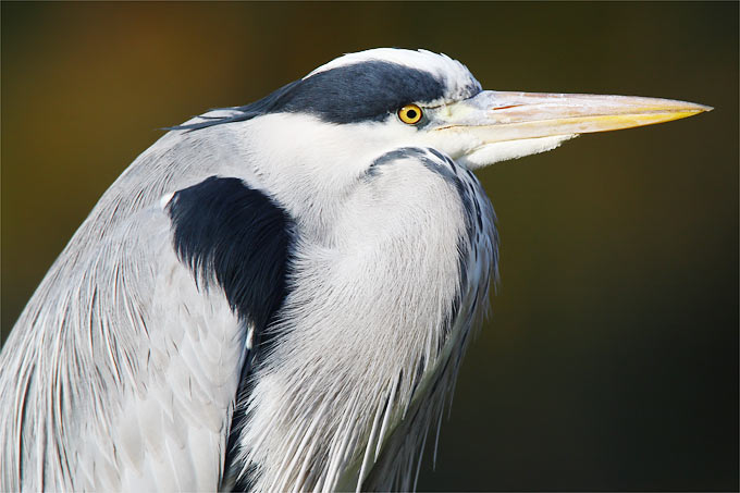 nrw.nabu.de