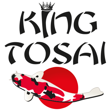 www.king-tosai.de